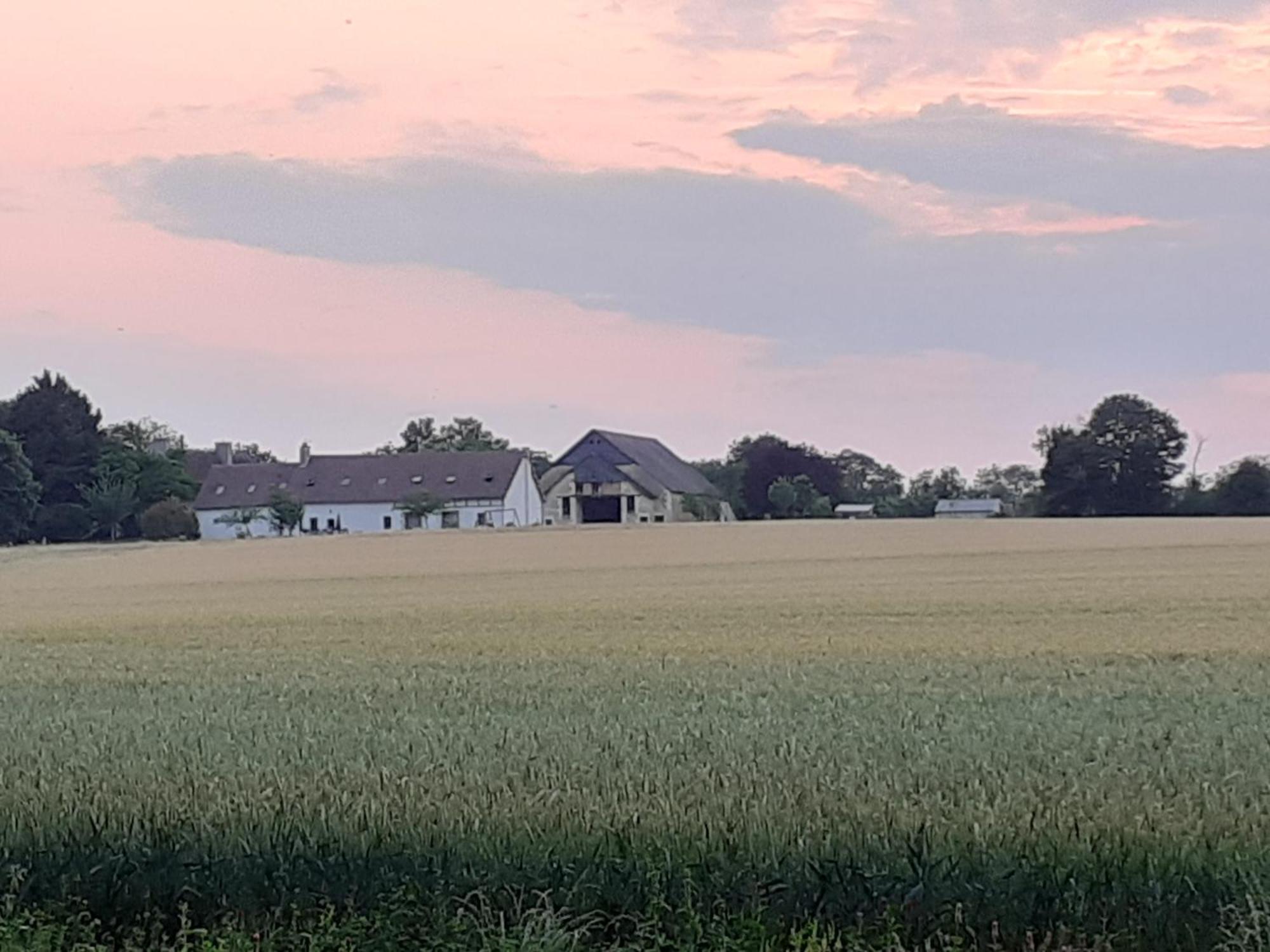 Gite Et Chambre D'Hotes Du Guillot Sainte-Solange 外观 照片